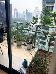 Miro (D11), Apartment #618388241